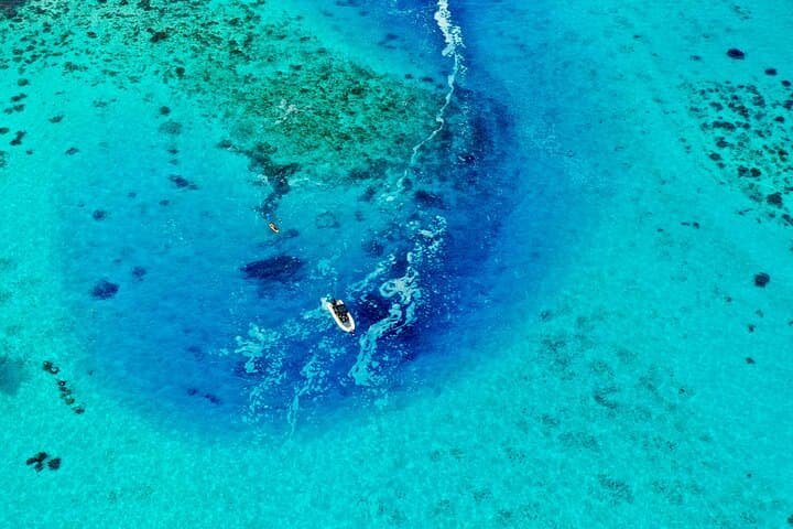4-Hour Tahiti Lagoon Snorkel: Ta'Apuna Pass, Turtles, Aquarium & Sandbar