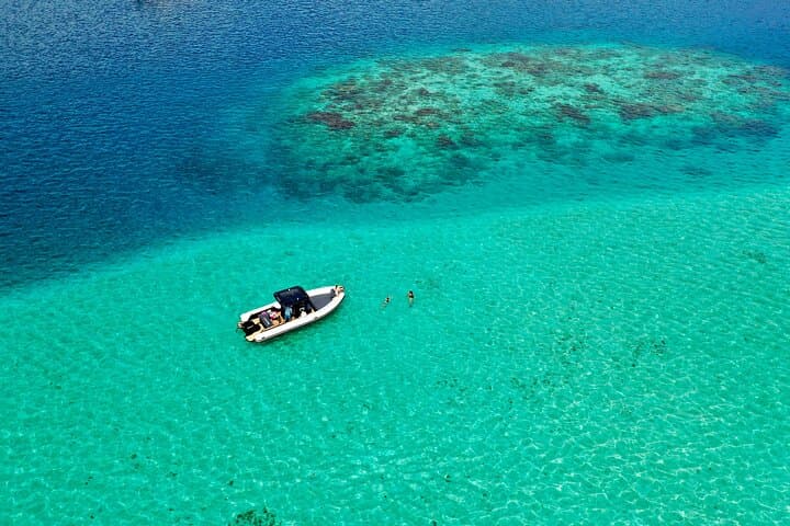 4-Hour Tahiti Lagoon Snorkel: Ta'Apuna Pass, Turtles, Aquarium & Sandbar photo 2