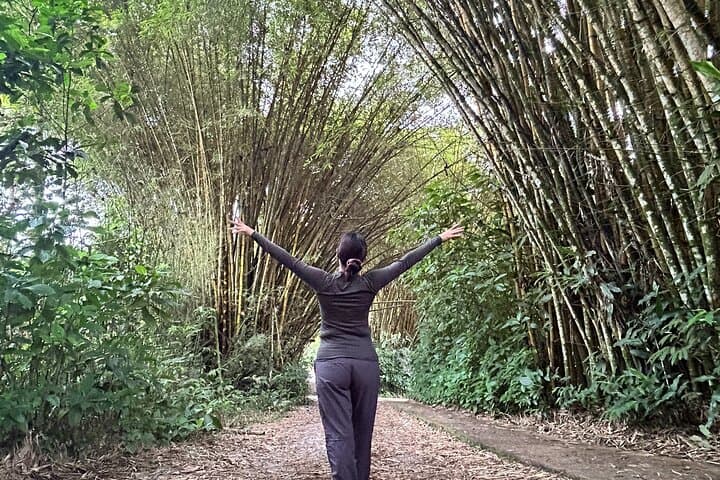 Three-Day Papallacta and Amazon Lodge Adventure from Quito