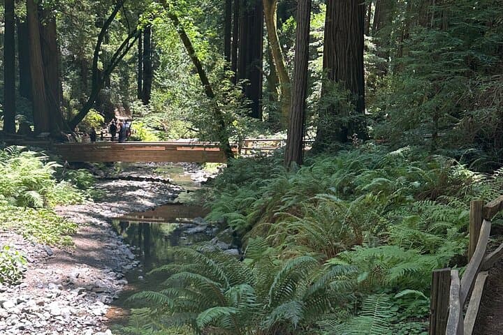 Muir Woods & Sausalito Day Tour: Redwoods, Bay Views, and Local Flavors photo 4
