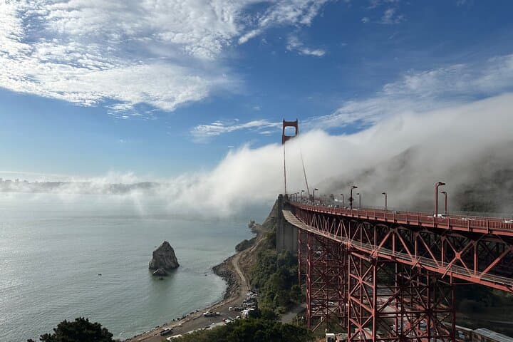 Muir Woods & Sausalito Day Tour: Redwoods, Bay Views, and Local Flavors
