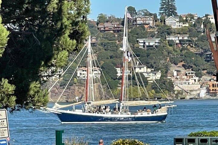 Muir Woods & Sausalito Day Tour: Redwoods, Bay Views, and Local Flavors photo 6
