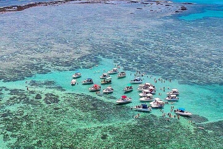 Maragogi Lancha Tour: Natural Pools, Snorkeling & Antunes Beach