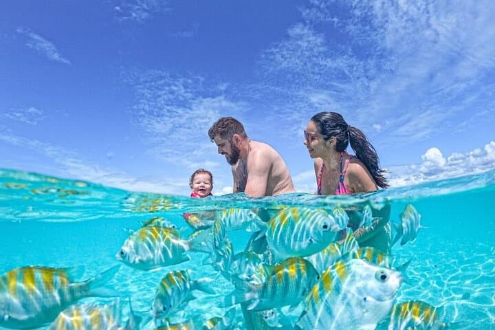 Maragogi Lancha Tour: Natural Pools, Snorkeling & Antunes Beach photo 5