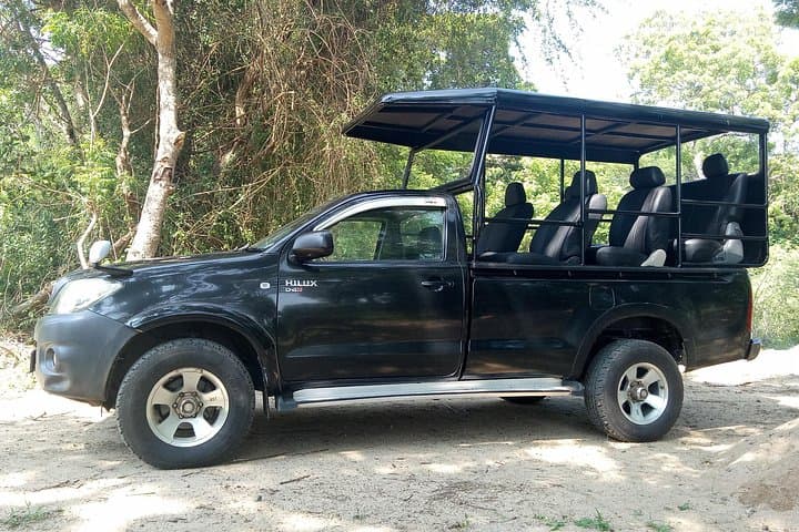 Yala National Park Half-Day Safari: Leopard Spotting & Jeep Wildlife Tour photo 4