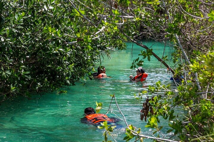 Private Boat Tour Through Sian Ka'an Mayan Canals & Tulum Tacos photo 6