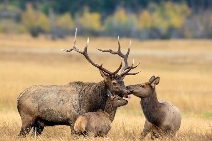 Private Hiking Tour in Rocky Mountain National Park — Estes Park Half-Day Hike photo 3