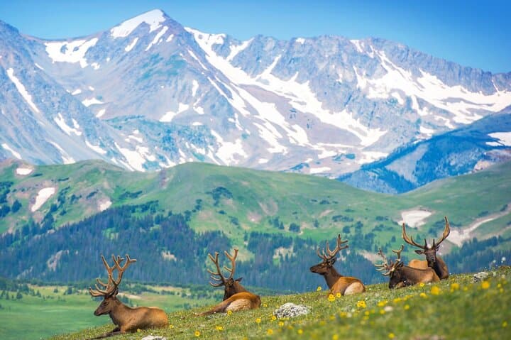 Private Hiking Tour in Rocky Mountain National Park — Estes Park Half-Day Hike photo 5