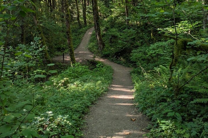 Tryon Creek Eco-Tour with a Master Naturalist — Guided Nature Walk in Portland's Urban Forest photo 2