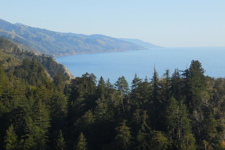 Big Sur Sightseeing Tour — Highway 1 Coastal Views, Bixby Bridge & Redwood Walk