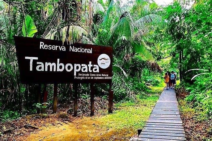 3-Day Tambopata Wildlife Adventure: Sandoval Lake, Macaws & River Otters