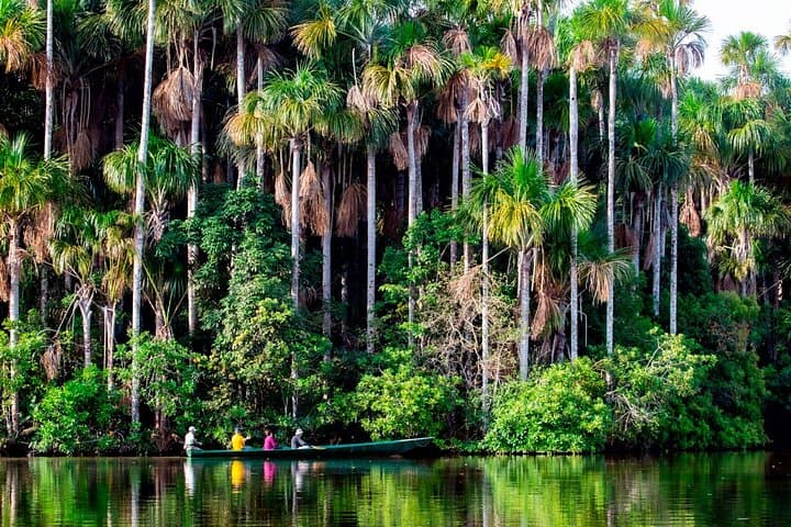 3-Day Tambopata Wildlife Adventure: Sandoval Lake, Macaws & River Otters photo 2