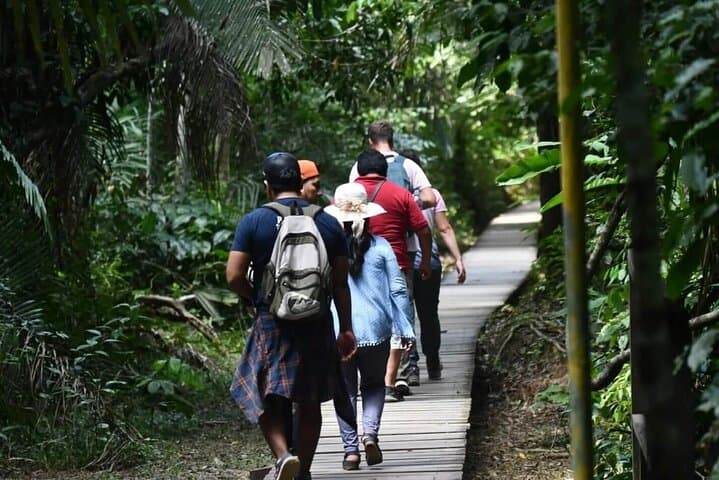 3-Day Tambopata Wildlife Adventure: Sandoval Lake, Macaws & River Otters photo 3