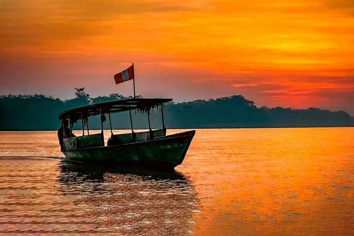 3-Day Tambopata Wildlife Adventure: Sandoval Lake, Macaws & River Otters photo 4