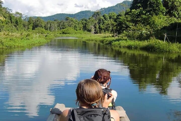 Manu Jungle Expedition: 3-Day Manu National Park Lodge Adventure from Cusco