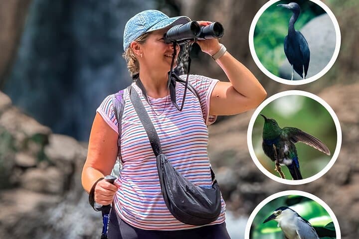 Grand Etang Rainforest & Seven Sisters: Full-Day Birdwatching and Waterfall Hike in Grenada
