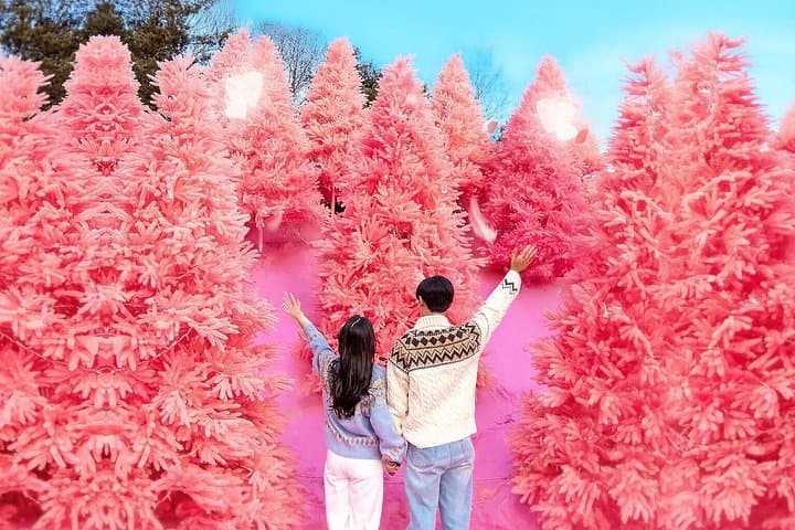Seoul Romantic Winter Wonderland Day Tour: Pink Sand, Baegun Ice Valley & Lake Sanjung