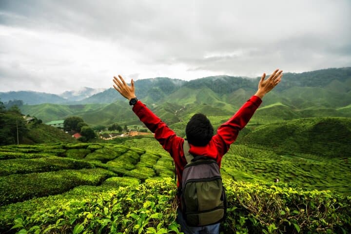 Cameron Highlands Private Nature Day Trip from Kuala Lumpur