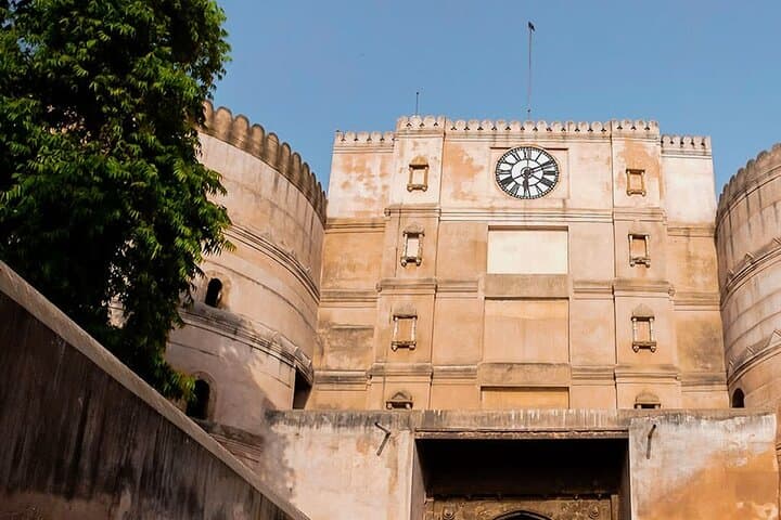 Temples and Wildlife Tour of Gujarat: Ahmedabad to Sasan Gir 9-Day Cultural & Safari Journey photo 6