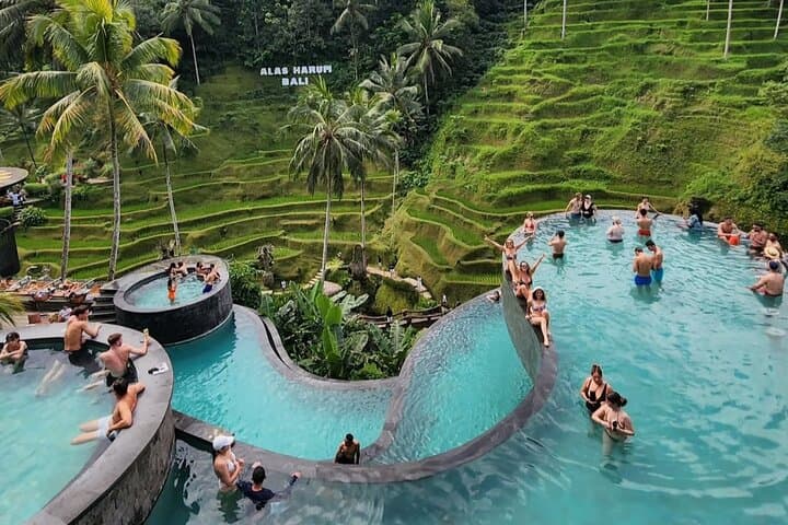 Gorilla ATV Ride and Cretya Infinity Pool — Ubud Rice-Terrace Adventure