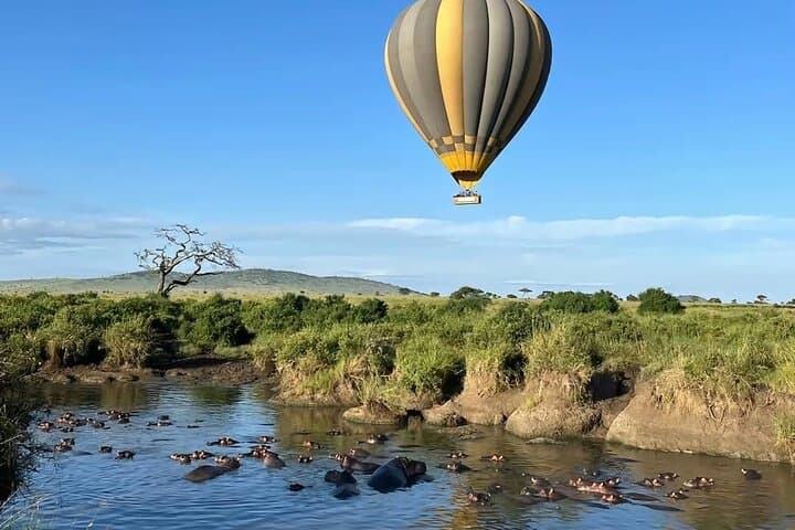 Tarangire Day Safari: Elephants, Baobabs & Big-Game Viewing from Arusha photo 4