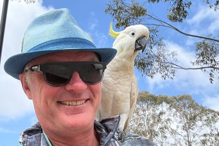 Private Blue Mountains Day Tour from Sydney — Custom Itinerary & Local Guide photo 6
