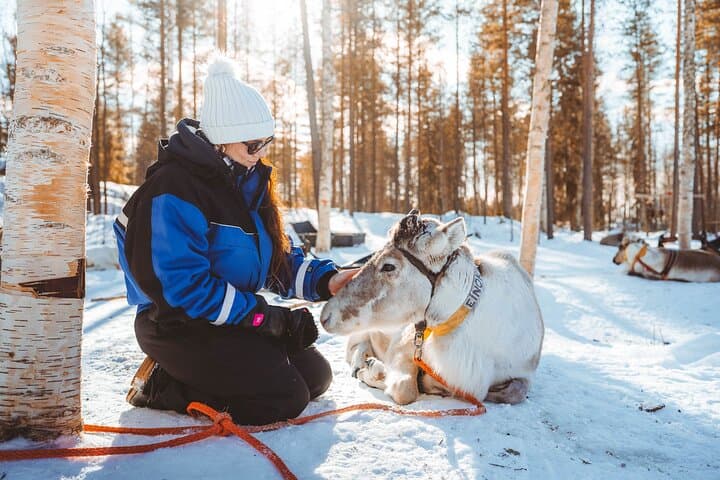 Apukka Snow and Fun: Family Arctic Adventures Near Rovaniemi photo 3