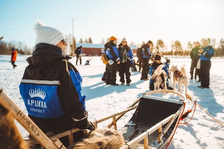 Apukka Snow and Fun: Family Arctic Adventures Near Rovaniemi photo 4