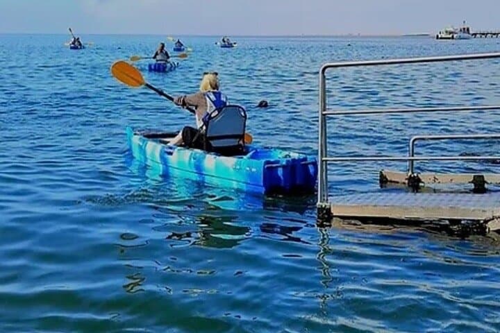 Catamaran, Kayak & Sandwich Harbour: Full-Day Coastal Adventure from Swakopmund photo 3