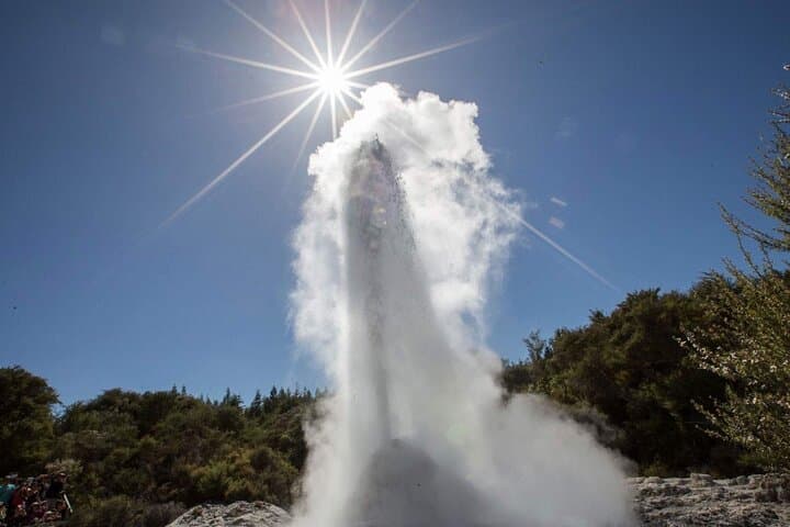 Hobbiton and Wai-O-Tapu: Full-Day Small-Group Journey from Auckland