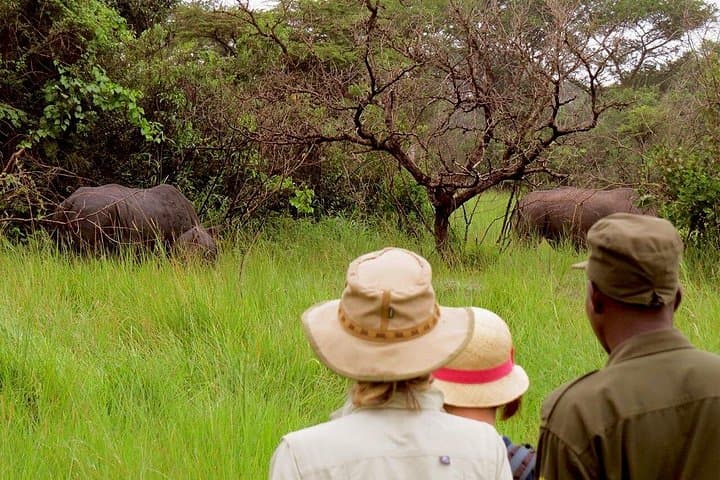 On Foot with Rhinos: 7-Hour Tracking at Ziwa Rhino Sanctuary photo 2