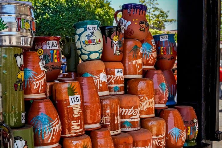 Private Day Trip to Tequila & Los Toriles from Puerto Vallarta photo 5