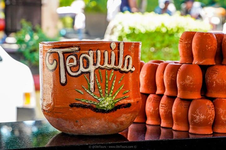 Private Day Trip to Tequila & Los Toriles from Puerto Vallarta photo 6