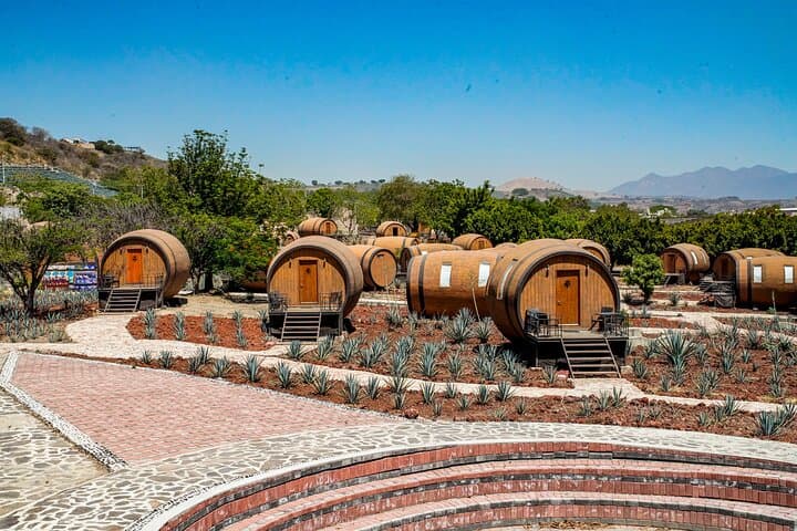 Private Day Trip to Tequila & Los Toriles from Puerto Vallarta photo 2