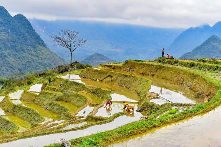 Pu Luong Full-Day Trek: Terraces, Thai Weaving & Hieu Waterfall Lunch photo 4