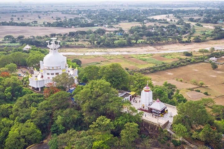 Bhubaneshwar to Kolkata via Bhitarkanika & Similipal: 7-Day Mangroves, Tigers & Cultural Trail photo 3