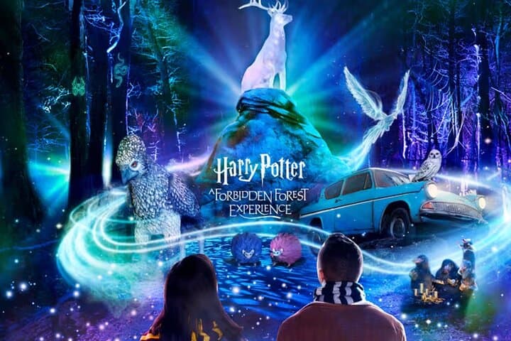 Forbidden Forest Experience Brisbane: Harry Potter Night Trail Tickets & Tips