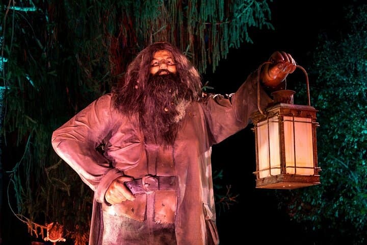 Forbidden Forest Experience Brisbane: Harry Potter Night Trail Tickets & Tips photo 4