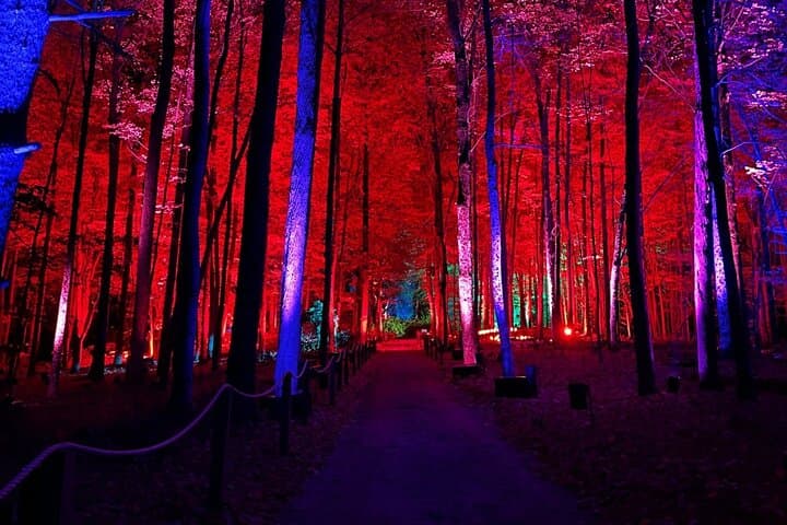 Forbidden Forest Experience Brisbane: Harry Potter Night Trail Tickets & Tips photo 5