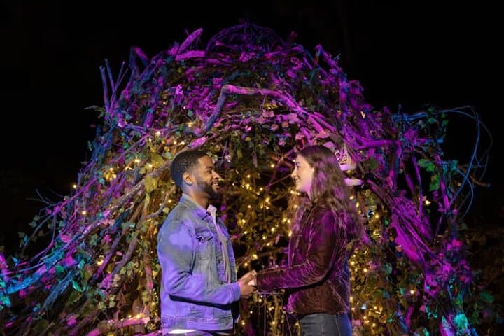 Forbidden Forest Experience Brisbane: Harry Potter Night Trail Tickets & Tips photo 2