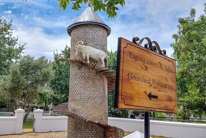 Full-Day Stellenbosch Winelands Private Wine Tour from Cape Town photo 3