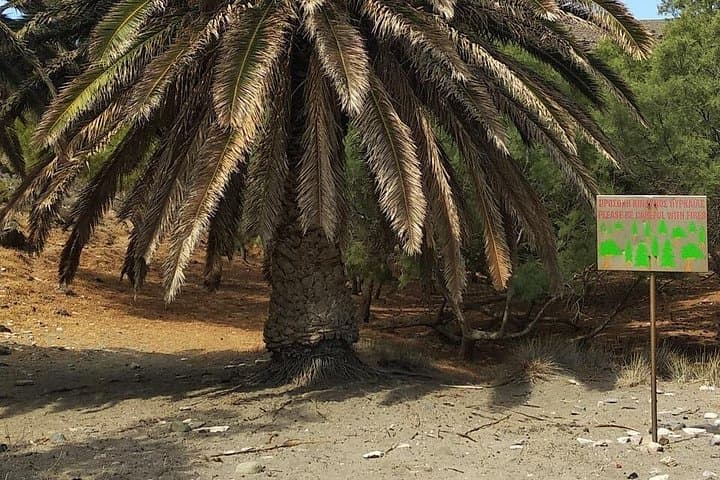 Syros Hiking Exploration: Apano Meria Coastal Walk, Ancient Inscriptions & Aegean Swim photo 2