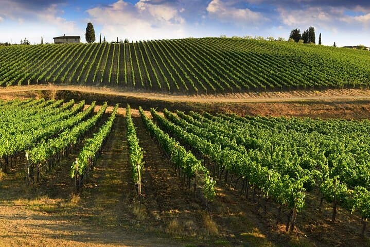 Half-Day Chianti Wine Tour from Florence: Tastings & Monteriggioni photo 5