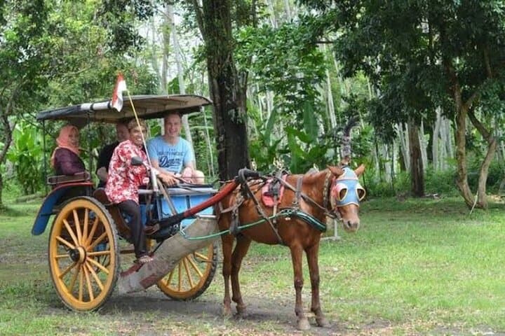 Borobudur Temple & Candirejo Village Cultural Tour: Temple Reliefs, Village Bikes, and Gamelan photo 2
