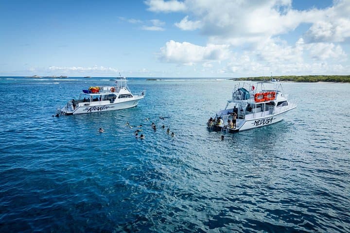 All-Inclusive Icacos & Vieques Snorkel Boat Tour from Fajardo photo 4