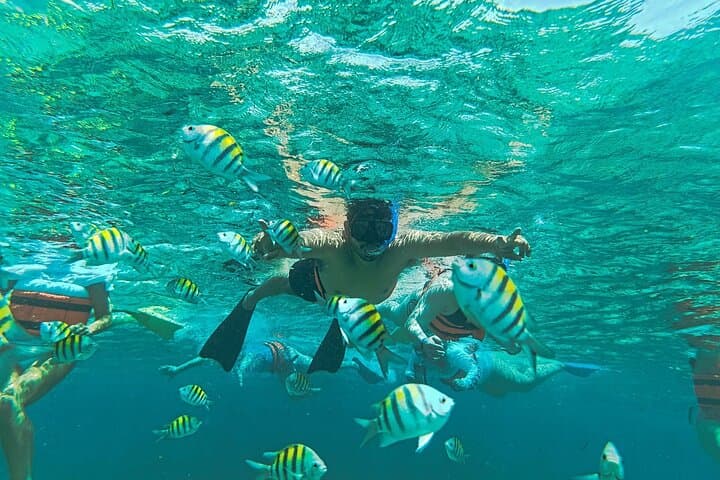 Catamaran to Isla Mujeres from Playa del Carmen — Snorkel, Beach Club & Ice Bar Cruise photo 3