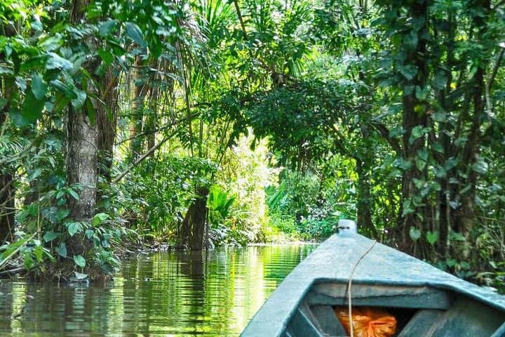 4-Day Tambopata Amazon Rainforest Tour — Sandoval Lake, Kayaks & Night Safaris