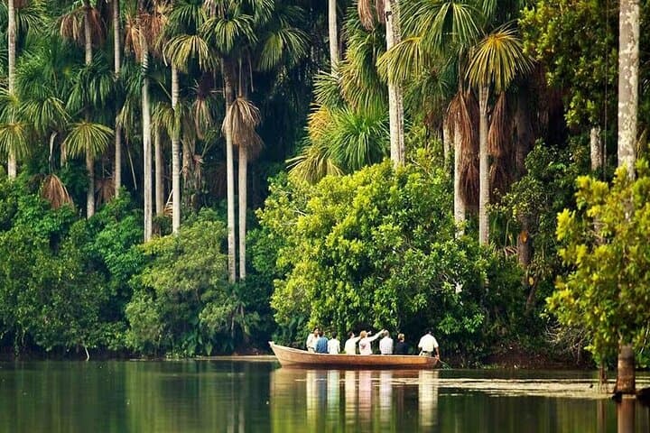 4-Day Tambopata Amazon Rainforest Tour — Sandoval Lake, Kayaks & Night Safaris photo 2