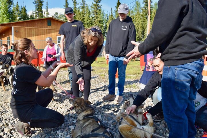 Fairbanks Sled Dog Adventure with Campfire & S'mores — Meet Alaskan Huskies Near Fairbanks