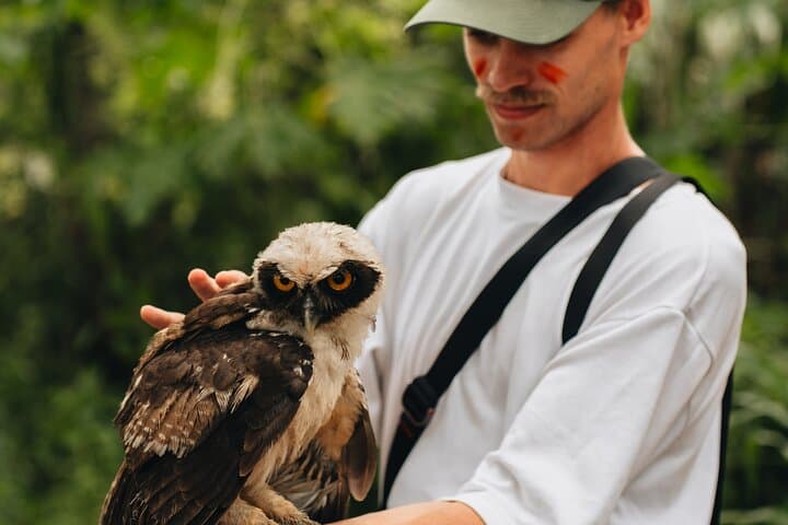Two-Day Amazon Lodge Adventure from Iquitos: Wildlife, Fishing & Night Walks